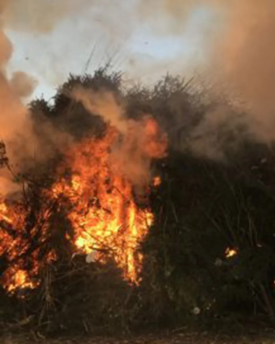 19.04.2025 – Osterfeuer