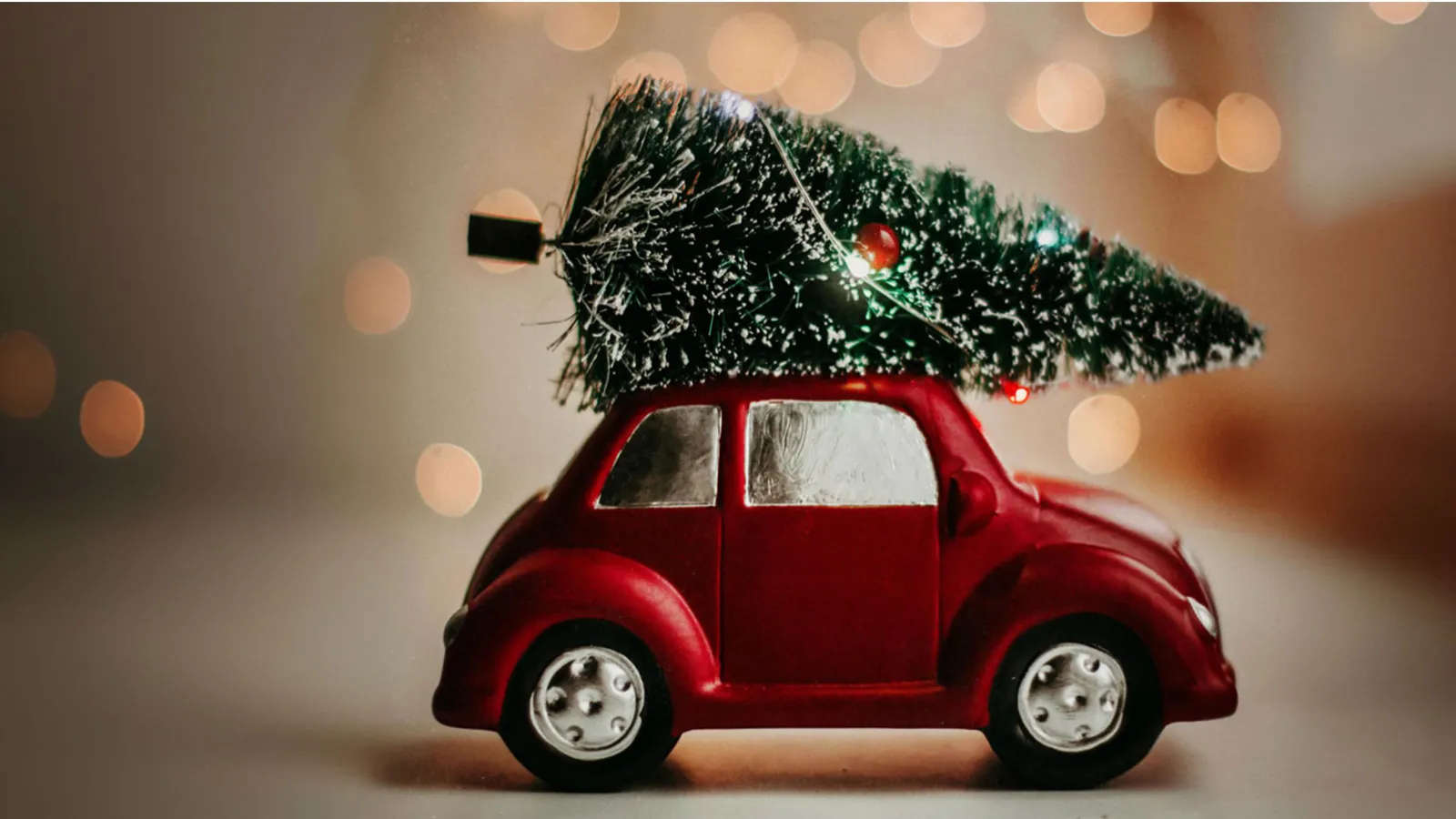 13.01.2024 – Weihnachtsbäume einsammeln und Abnahme der Weihnachtsbeleuchtung